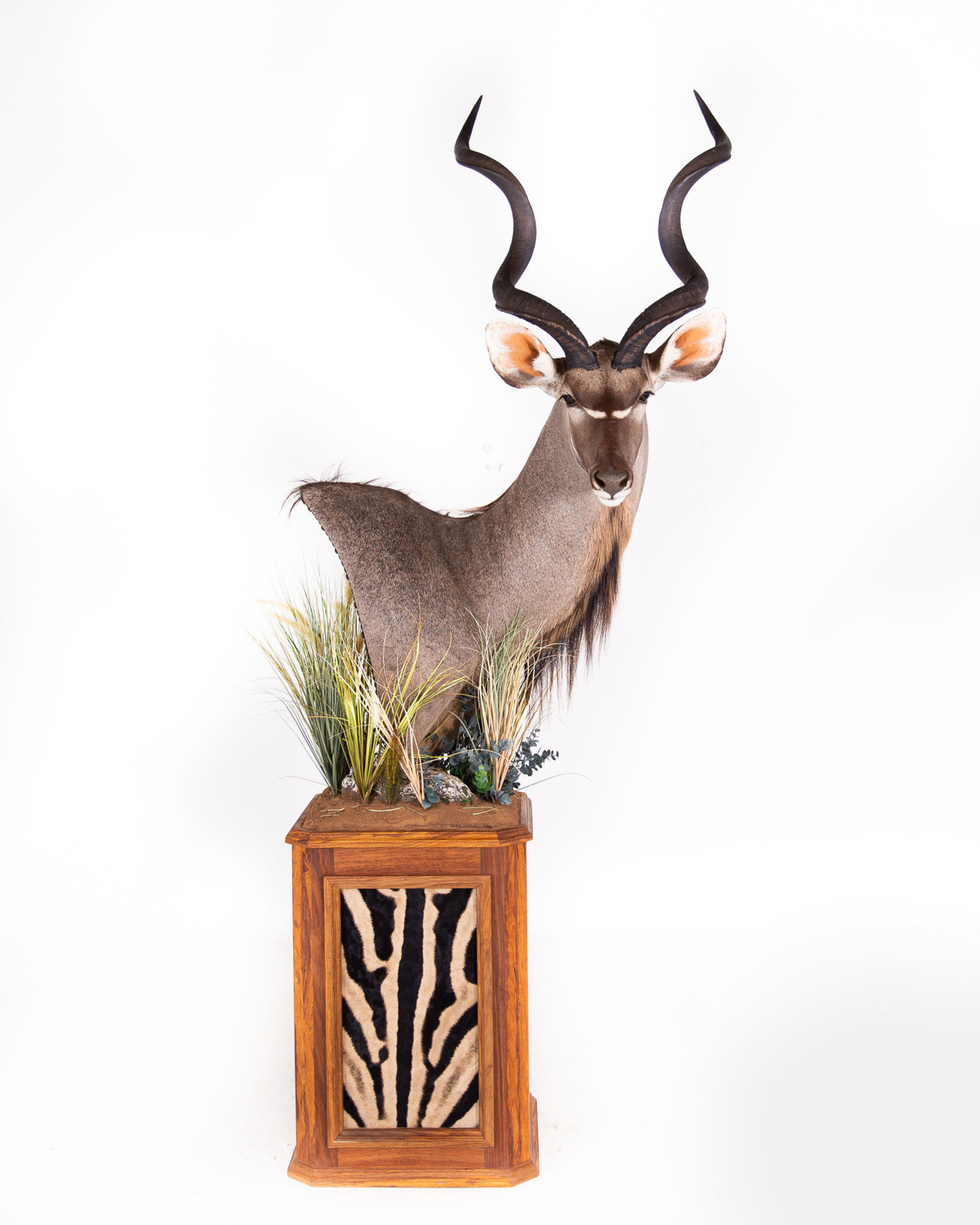 Kudu Pedestal Mount Splitting Image Taxidermy
