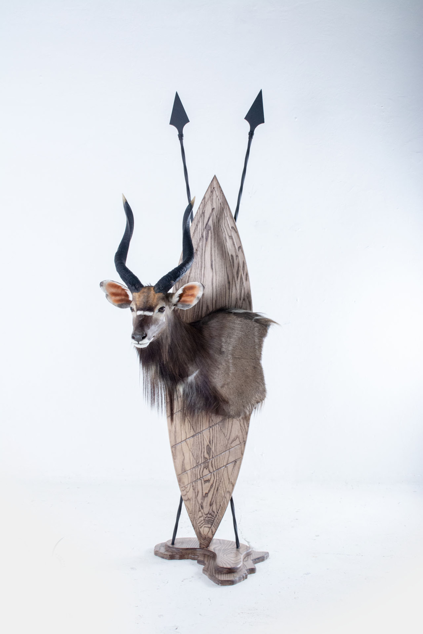 Nyala 3D Wall Pedestal Splitting Image Taxidermy