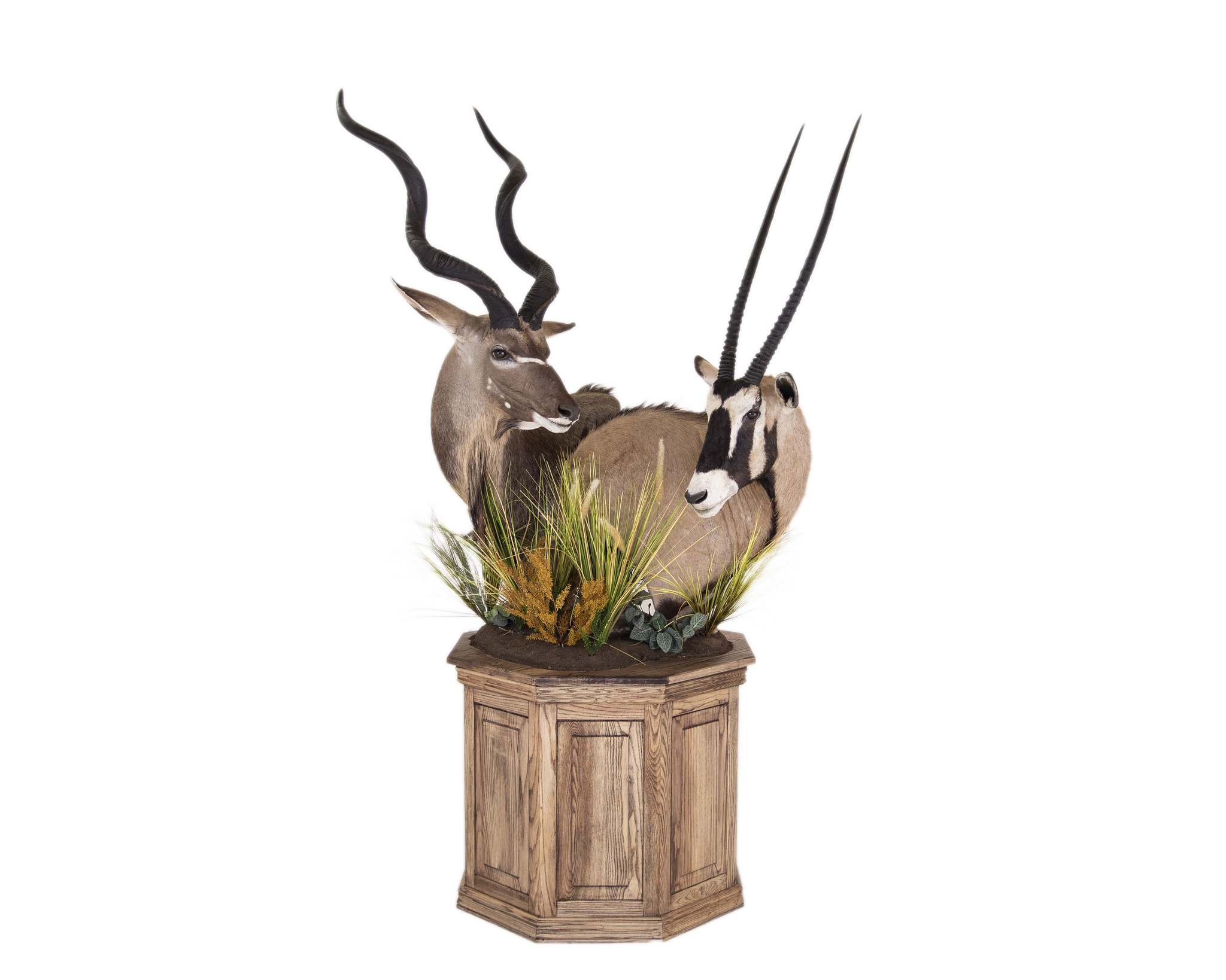 Splitting Image Taxidermy - Kudu and Gemsbuck pedestal