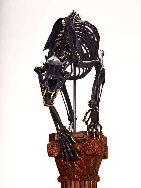 Splitting Image Taxidermy - Black lioness Skeletal articulation