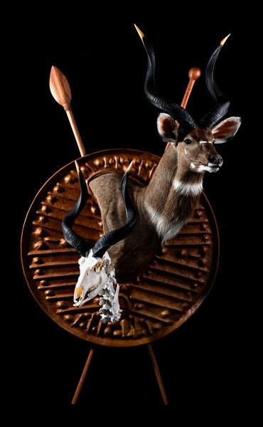 Splitting Image Taxidermy - MOUNTAIN NYALA