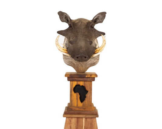 Splitting Image Taxidermy - WARTHOG Pedestal mount straight on table top pedestal with africa map cutout