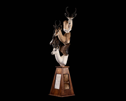 Splitting Image Taxidermy - SPRINGBUCK Pedestal mount tower combo on pyramid pedestal with backskin inlay