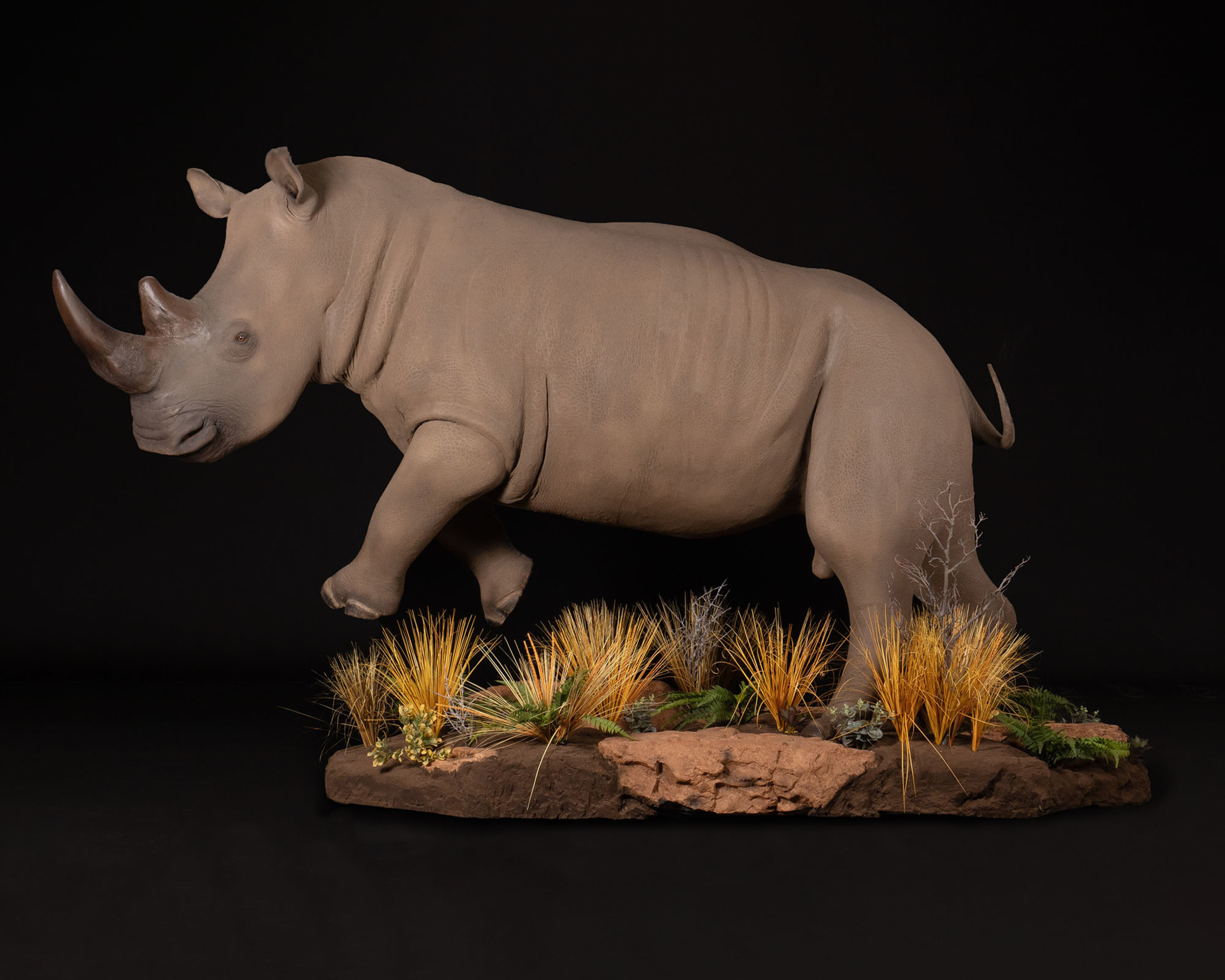 Rhino Full mount - jumping